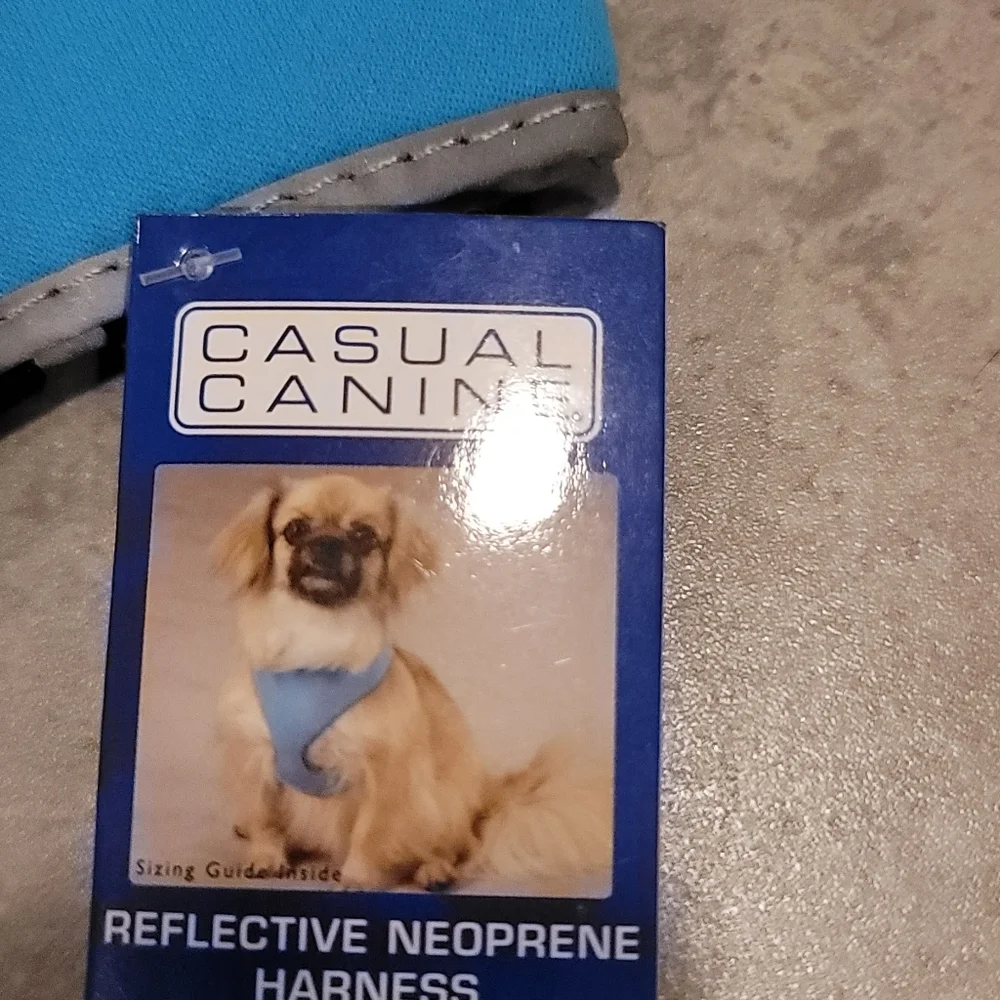 Casual Canine welcome  my